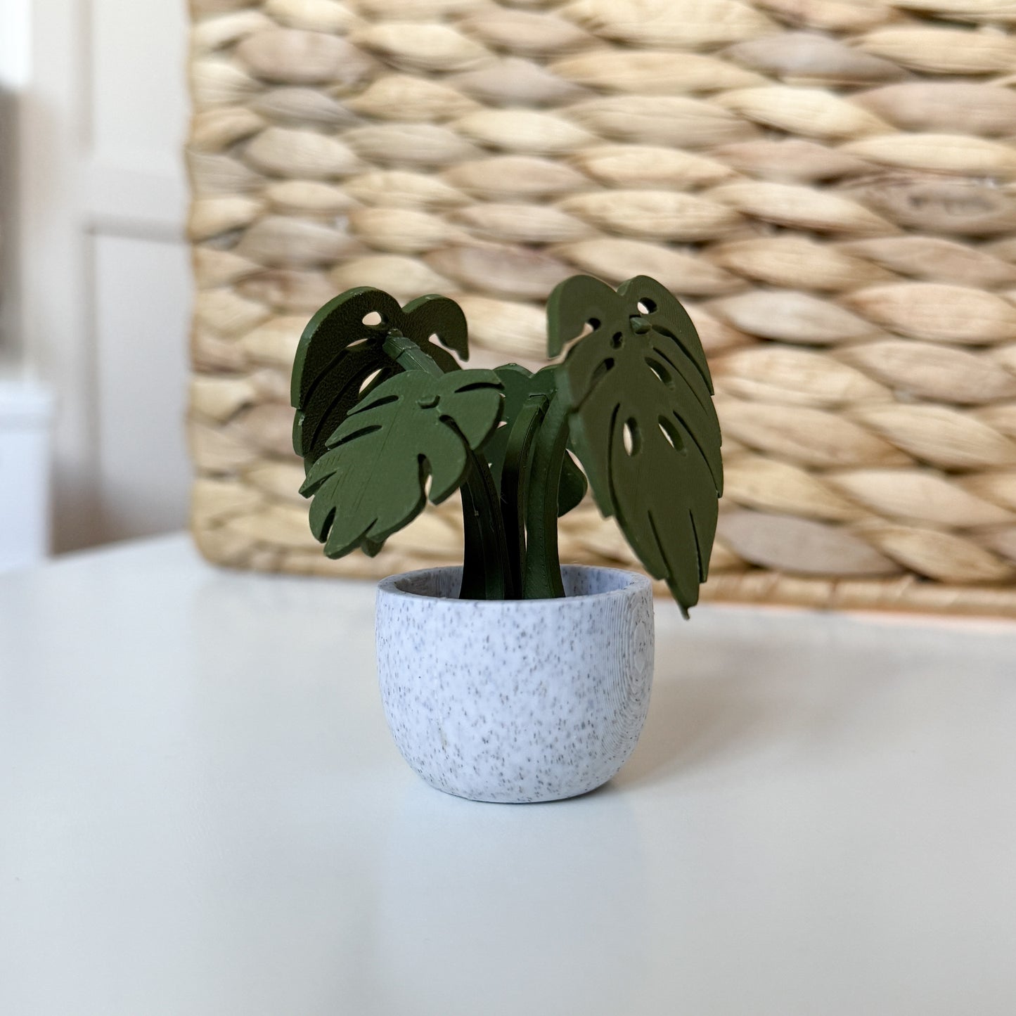 Monstera Kit Card