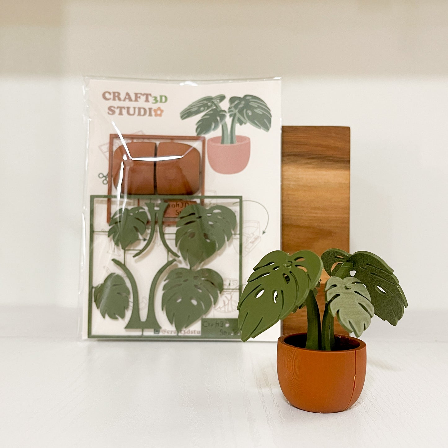 Monstera Kit Card