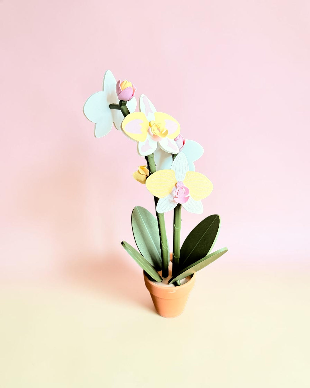 Orchid Plant Coaster Set