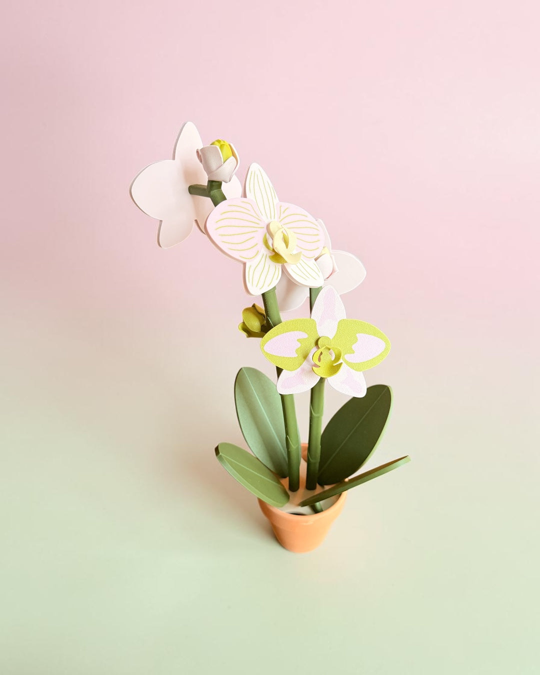 Orchid Plant Coaster Set