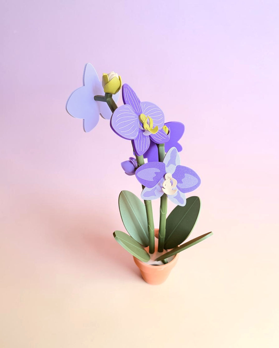 Orchid Plant Coaster Set