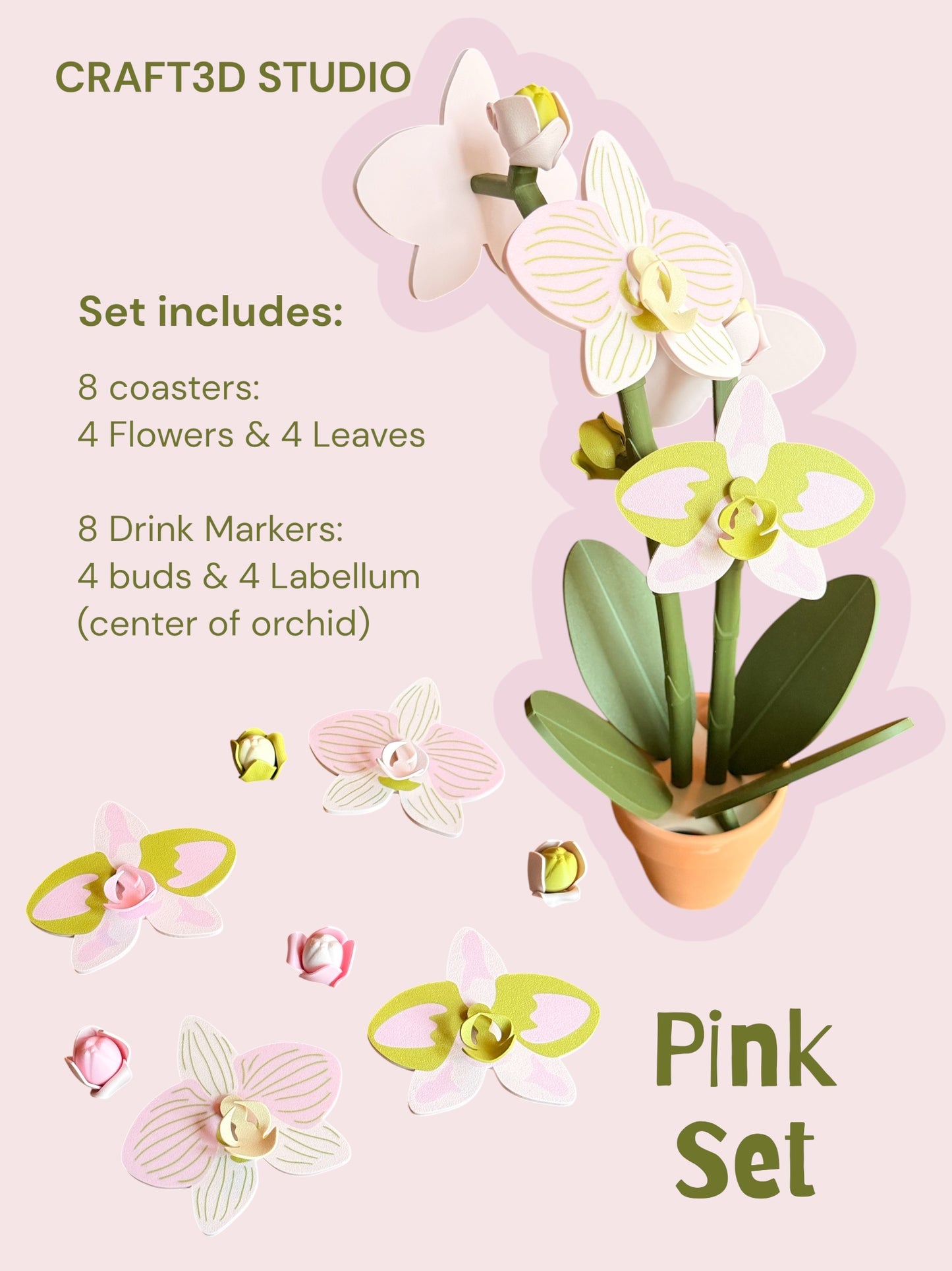 Orchid Plant Coaster Set