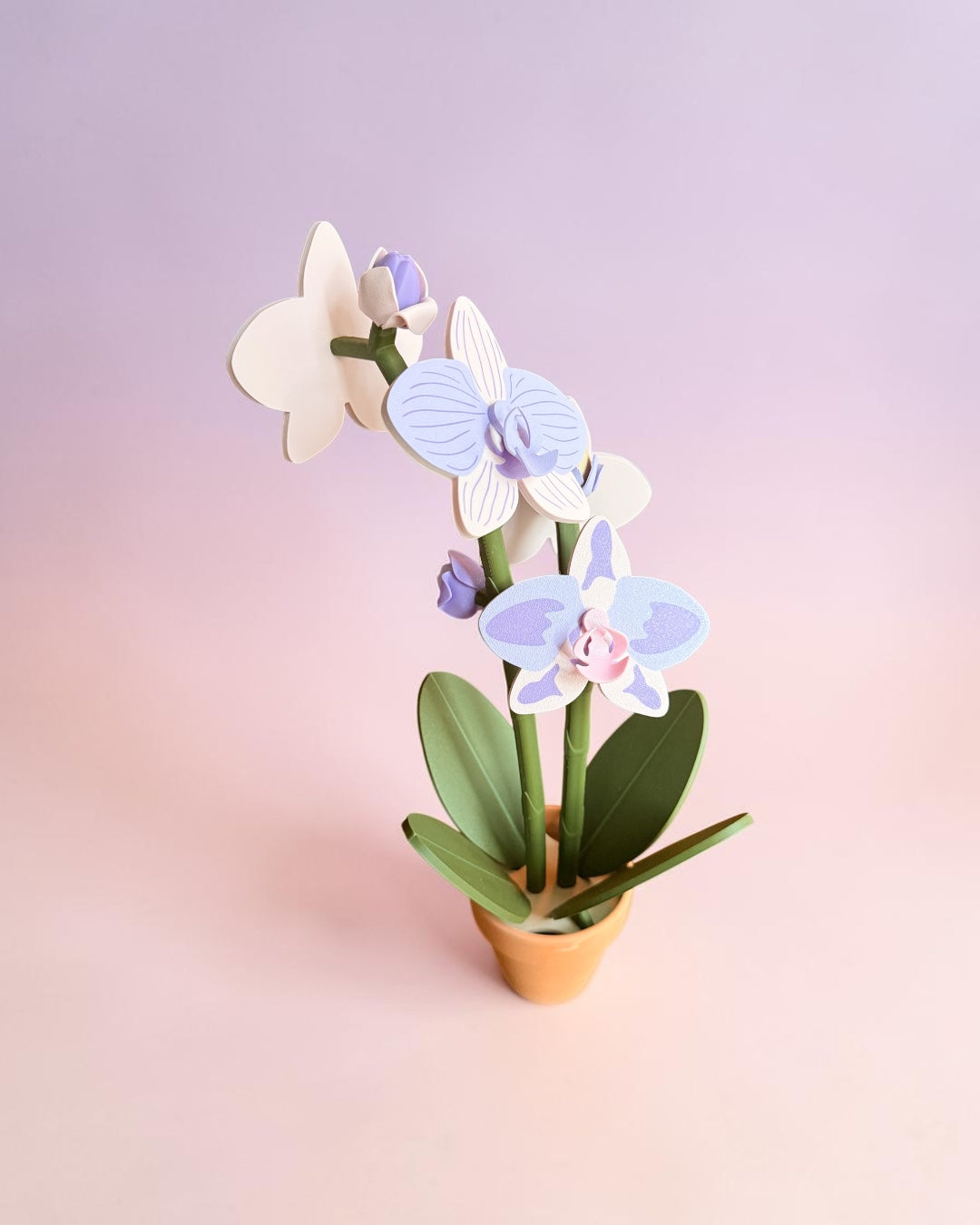 Orchid Plant Coaster Set