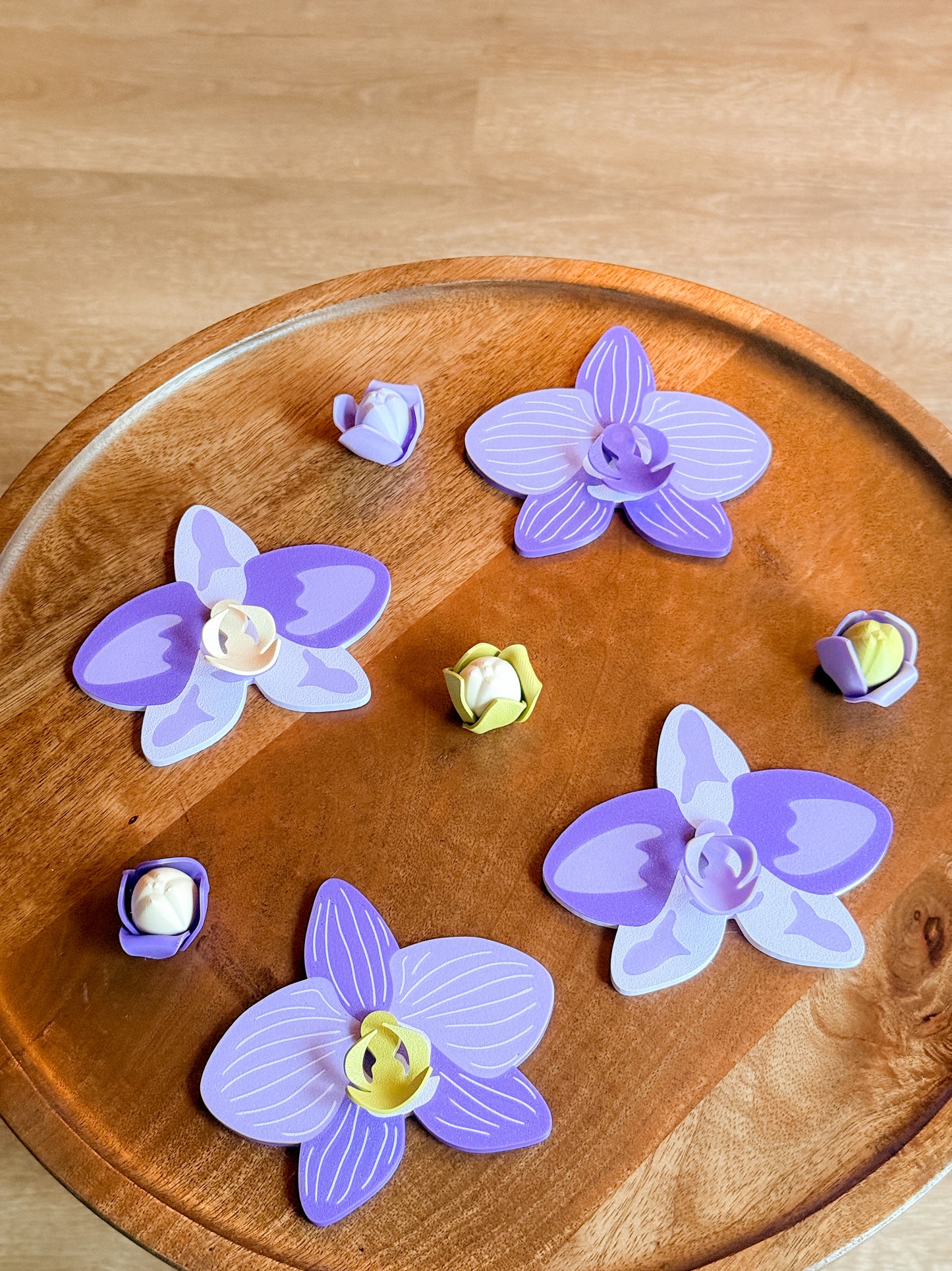 Orchid Plant Coaster Set