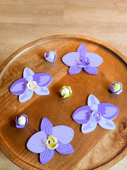 Orchid Plant Coaster Set