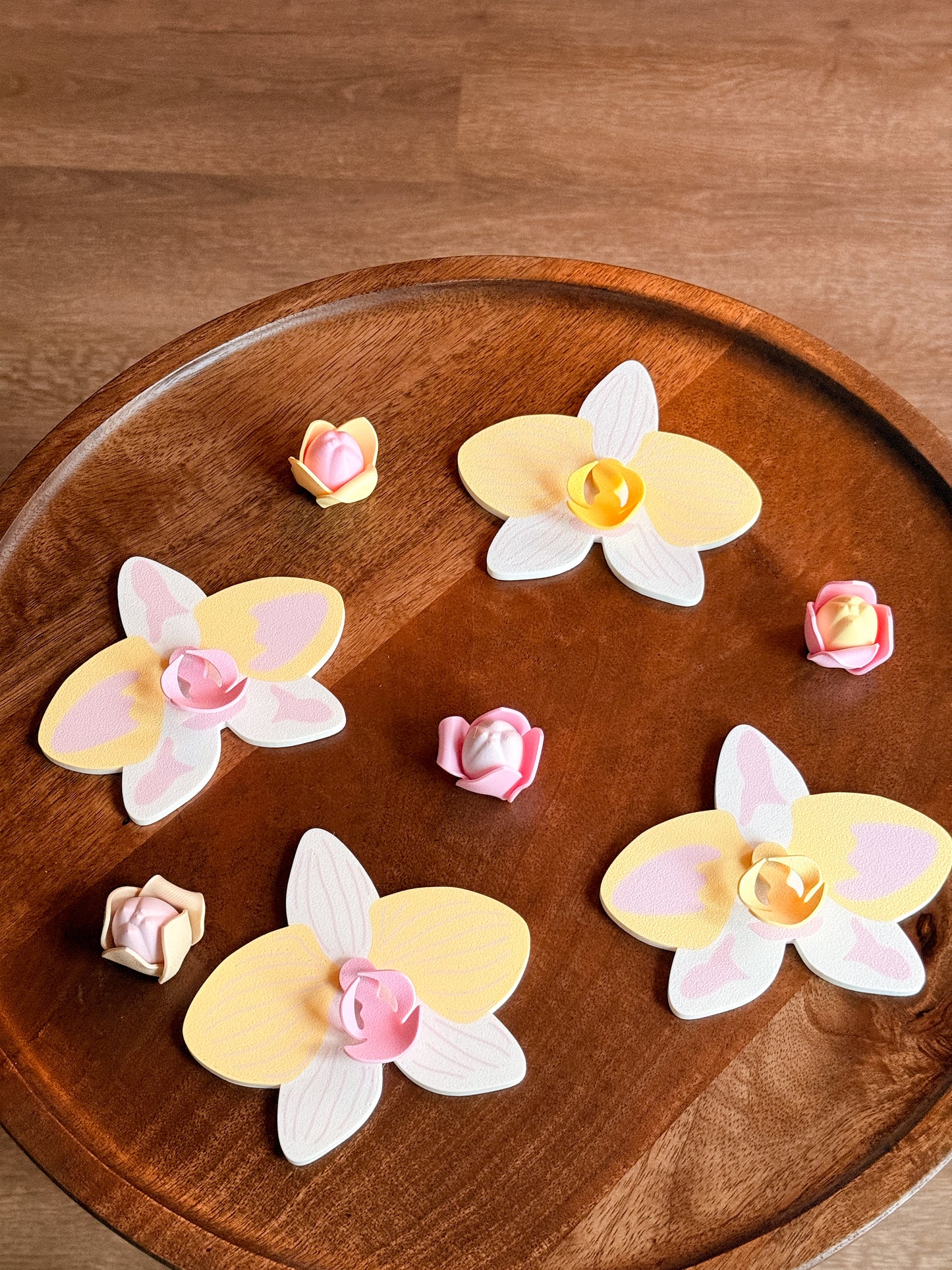 Orchid Plant Coaster Set