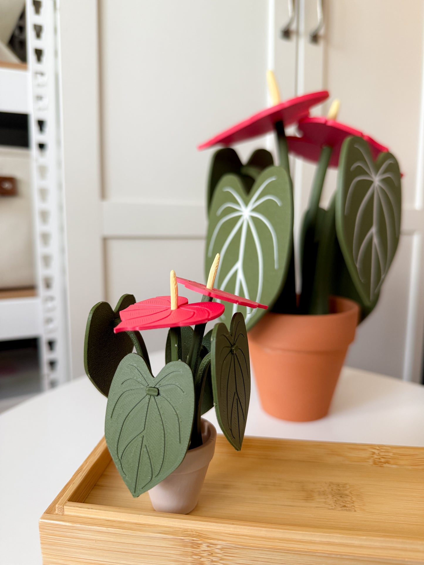 Anthurium Kit Card