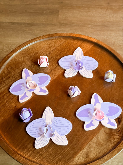 Orchid Plant Coaster Set