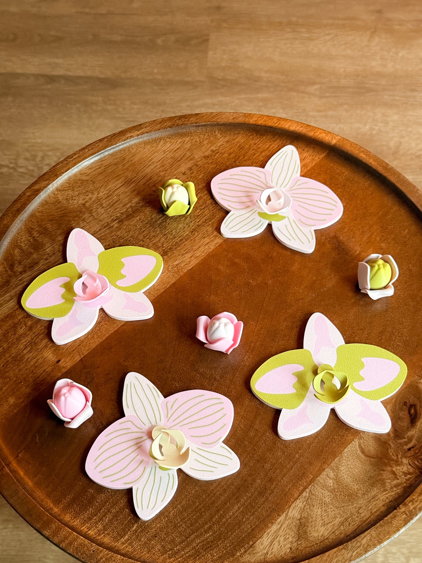 Orchid Plant Coaster Set