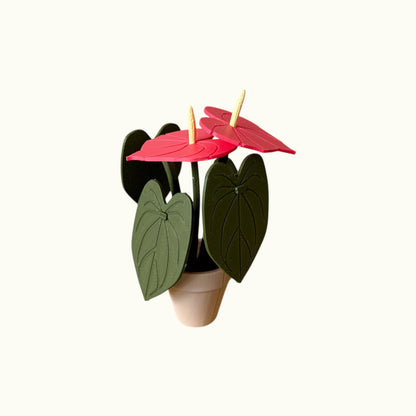 Anthurium Kit Card