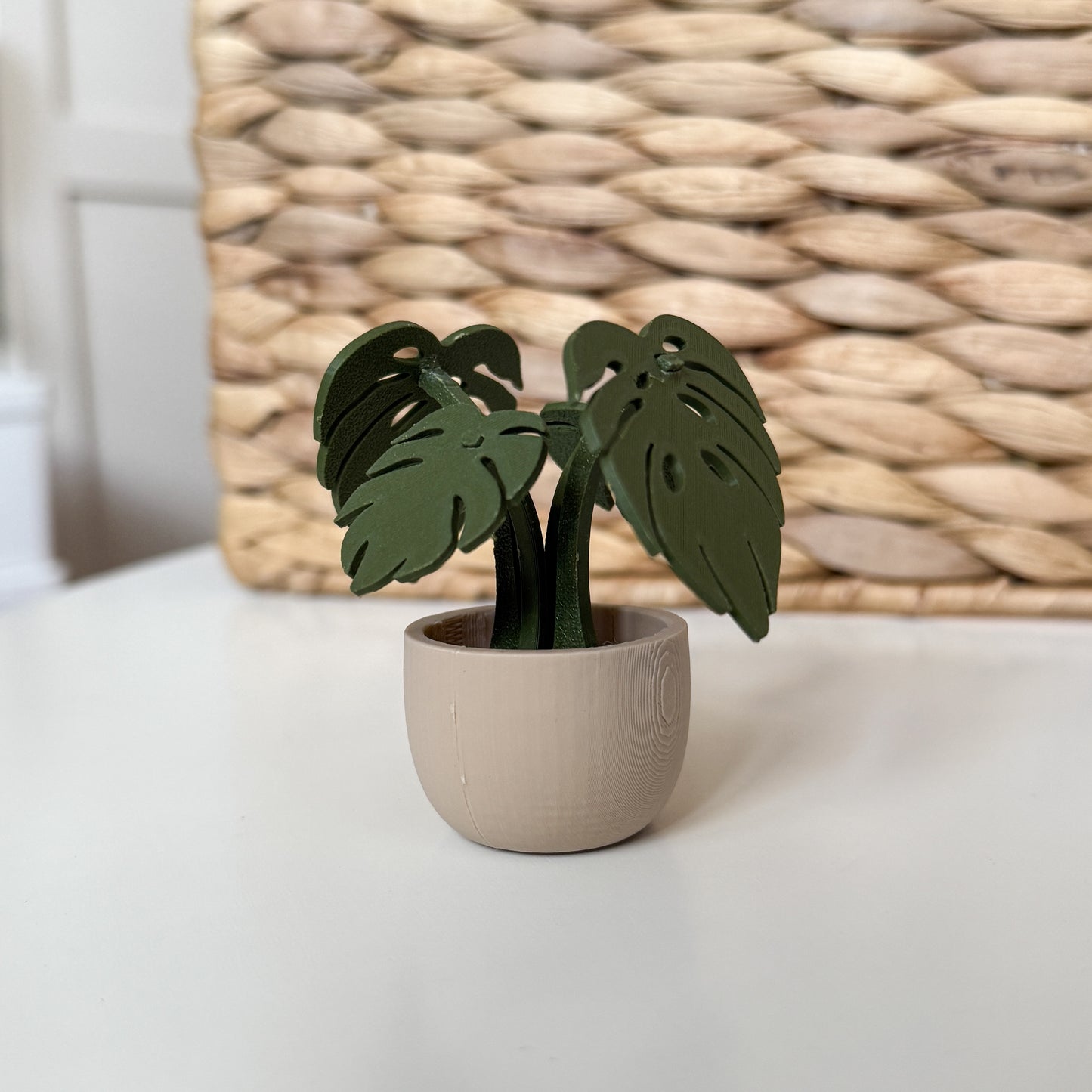 Monstera Kit Card