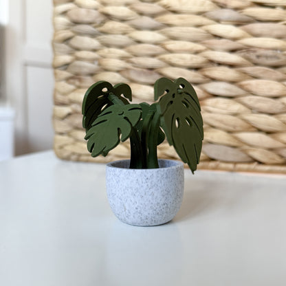 Monstera Kit Card