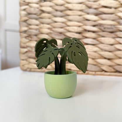 Monstera Kit Card