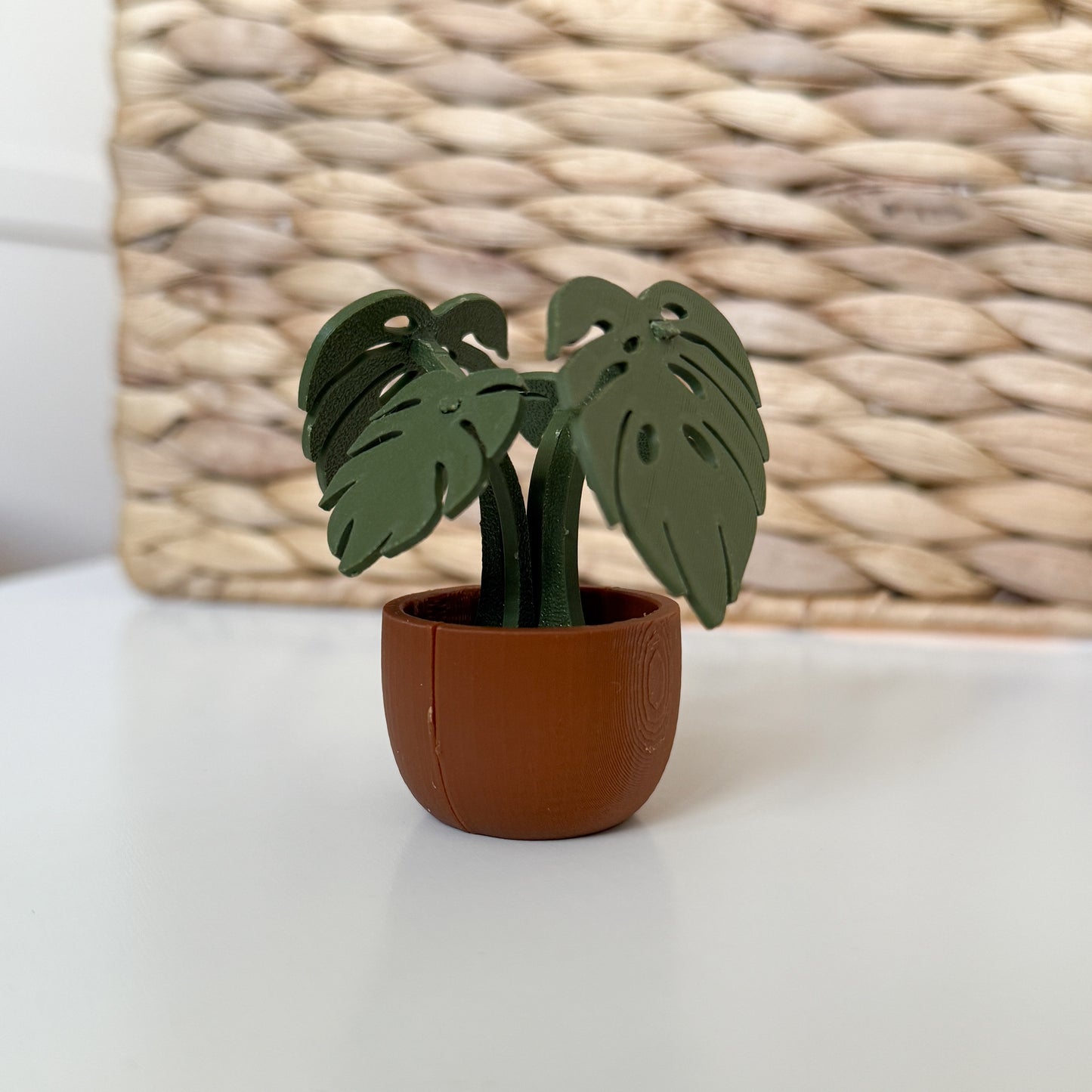 Monstera Kit Card