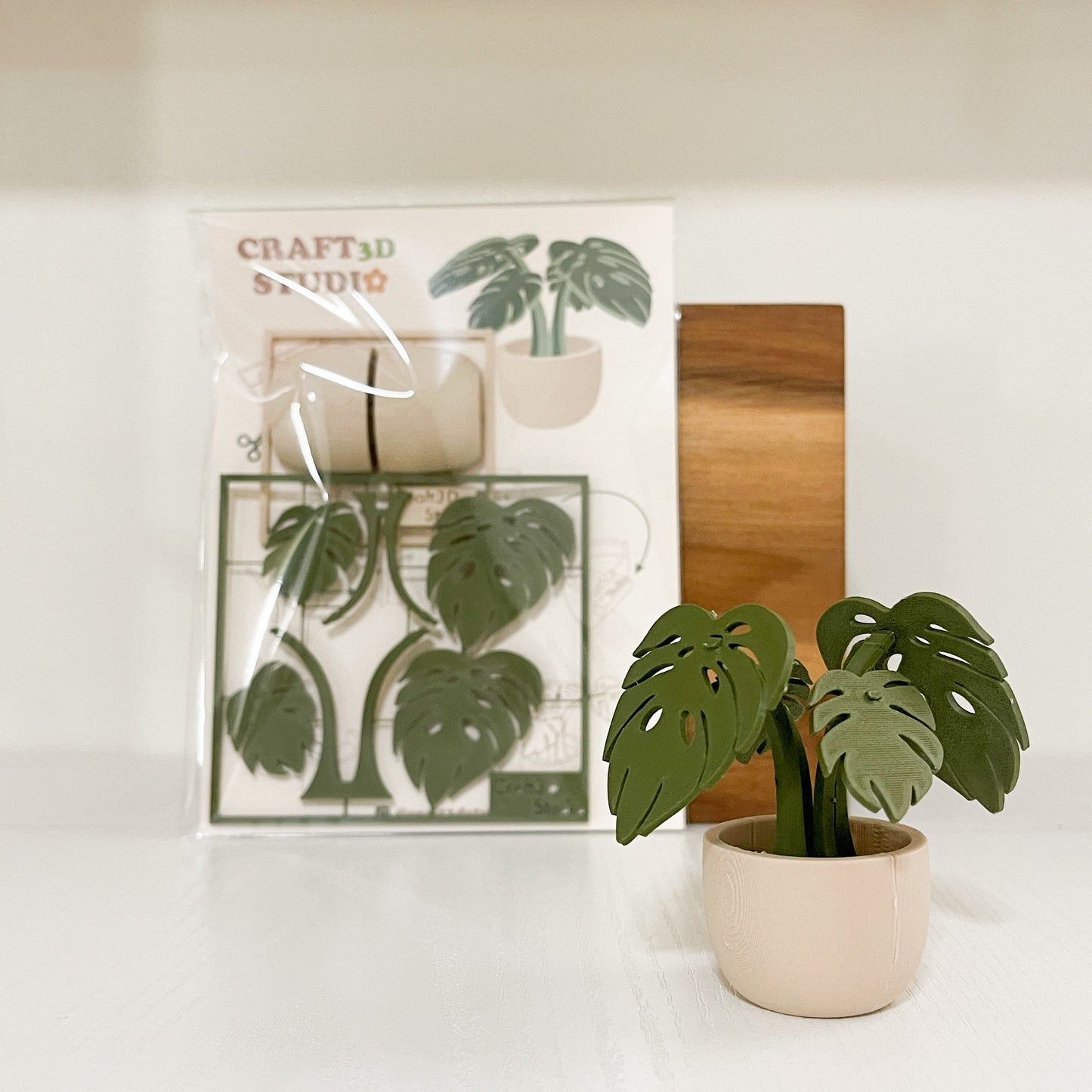 Monstera Kit Card
