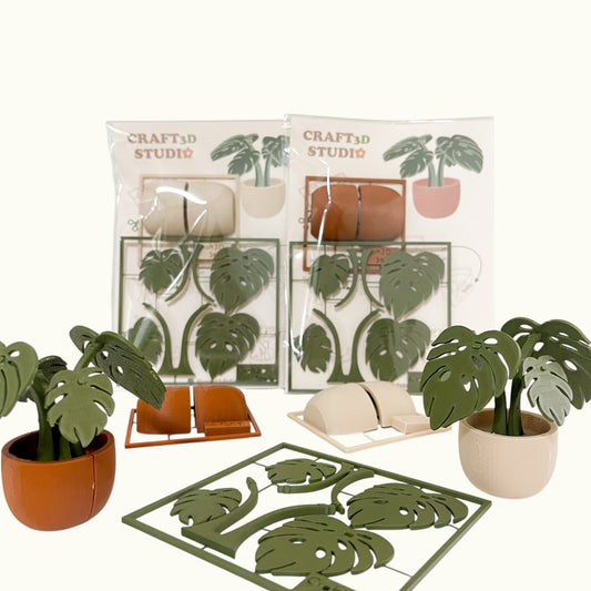 Monstera Kit Card
