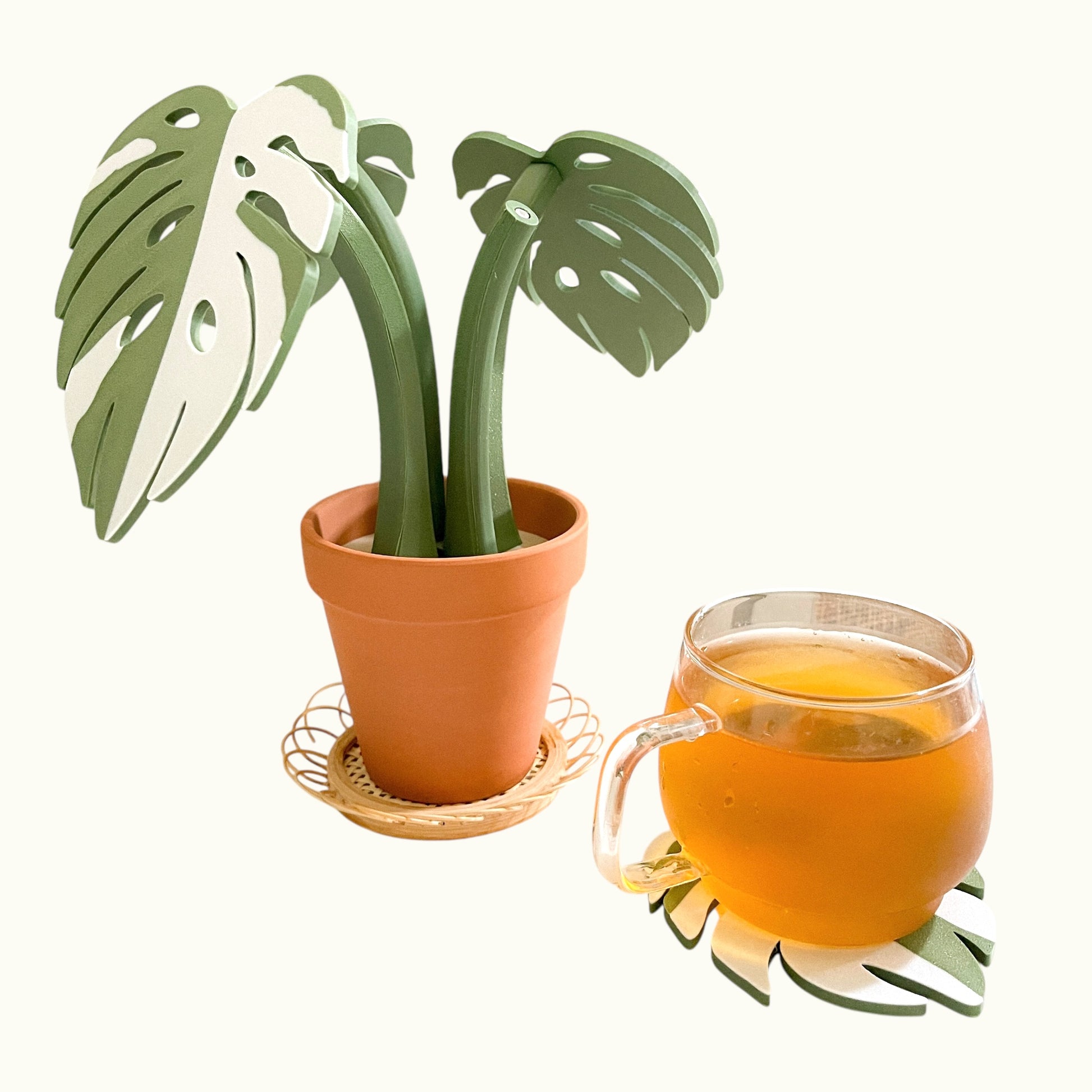 monstera coaster 3d print Monstera Plant Coaster set – Craft3D Studio
