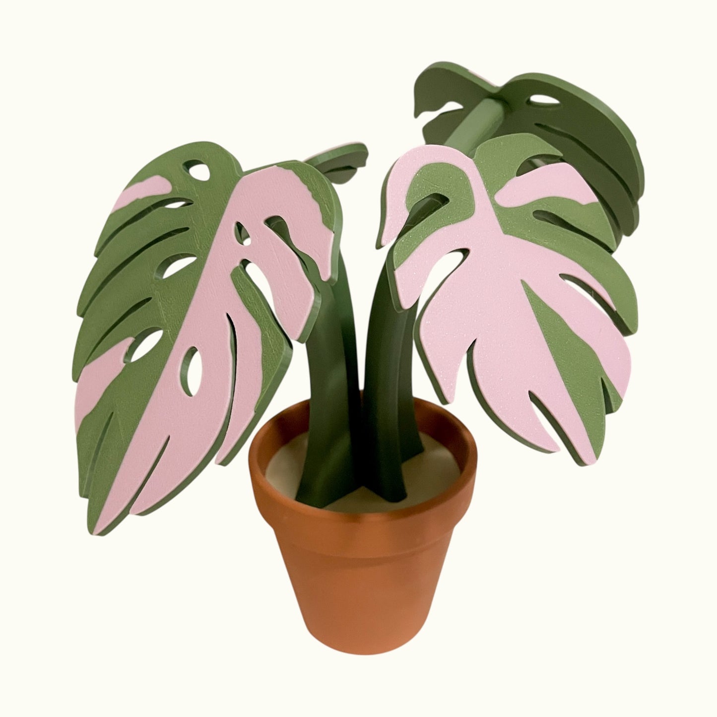 Monstera Plant Coaster set