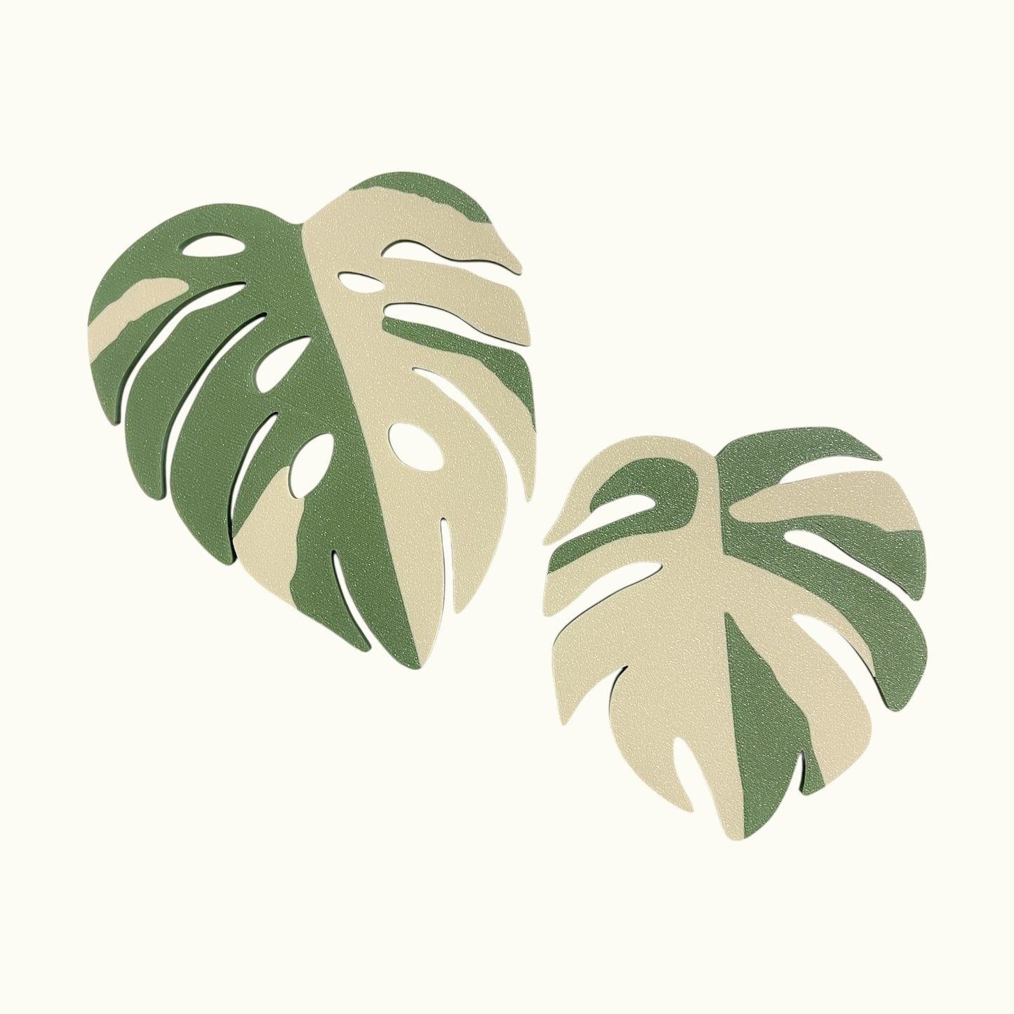 Monstera Plant Coaster set