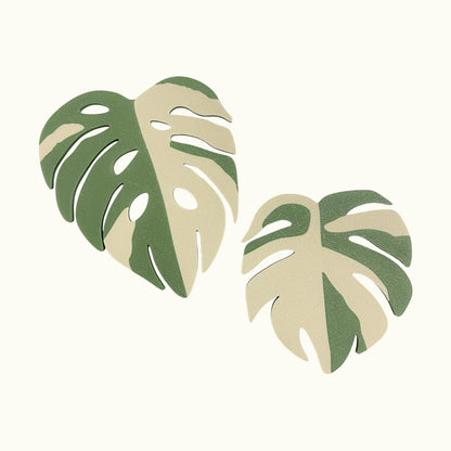 Monstera Plant Coaster set