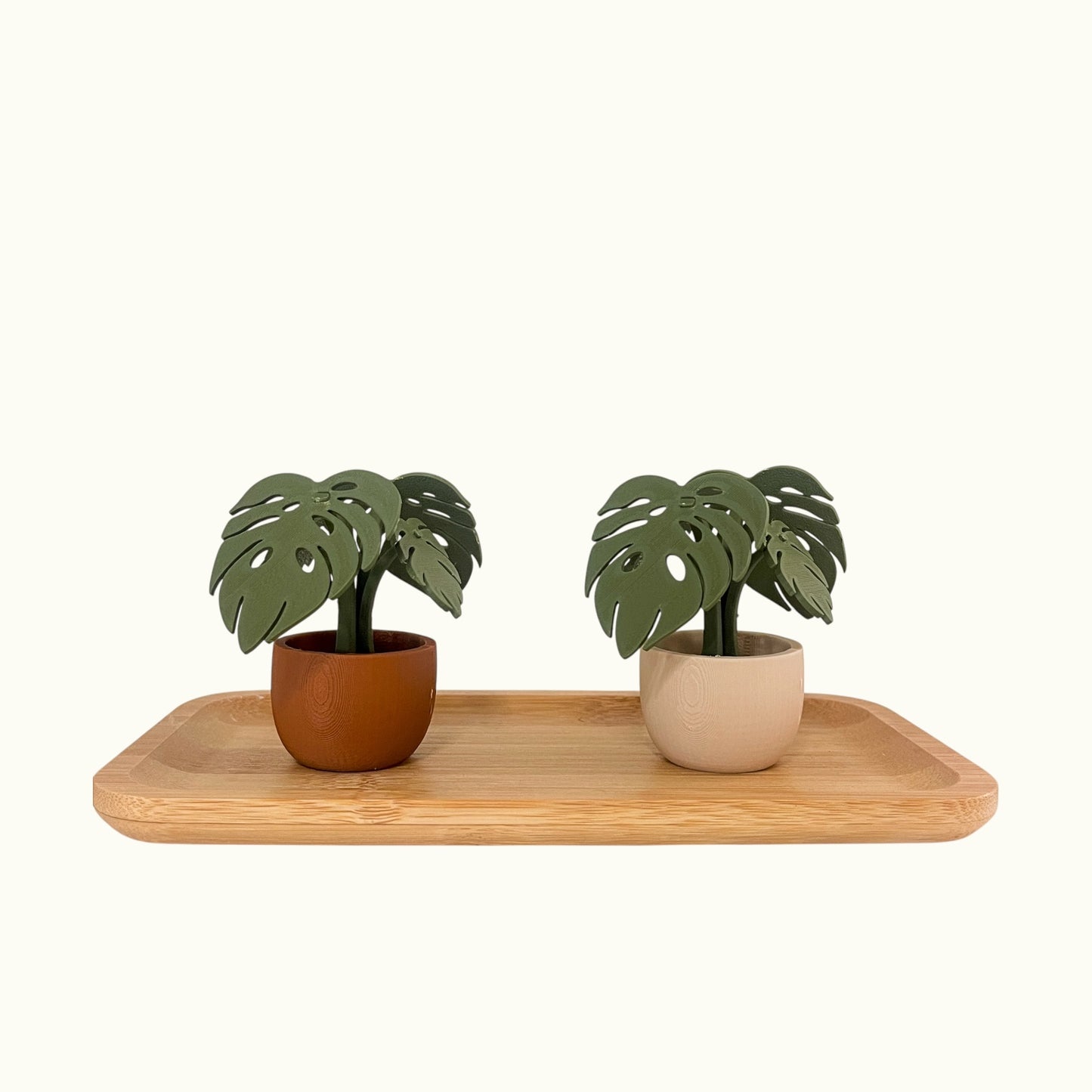 Monstera Kit Card