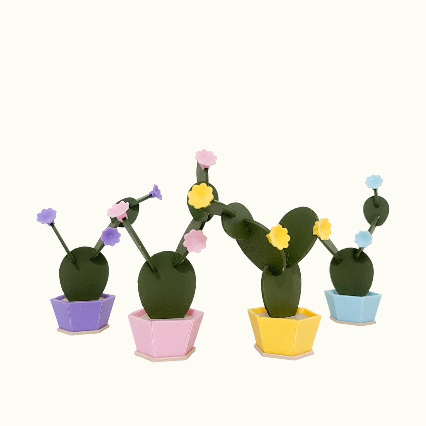 Indian Fig Cactus Kit Card