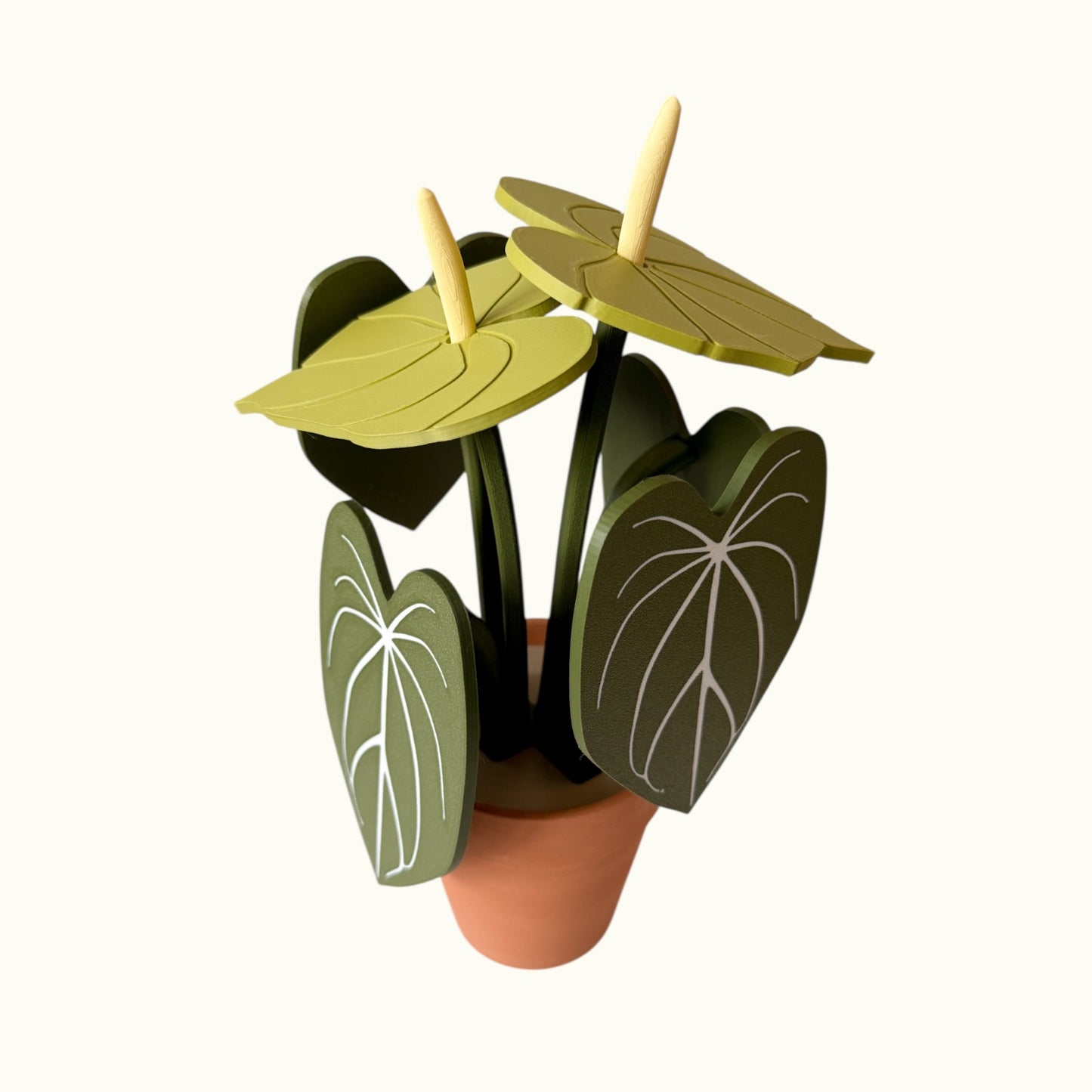 Anthurium Plant Coaster