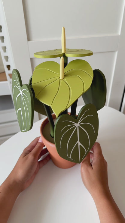 Anthurium Plant Coaster