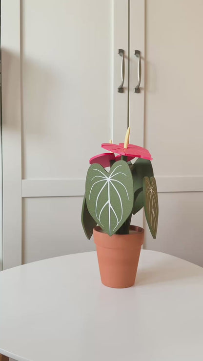 Anthurium Plant Coaster
