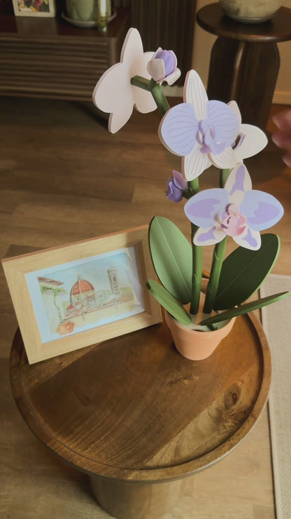 Orchid Plant Coaster Set